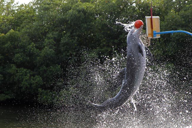 Basketball aquatique! - Cuba - Mars 2012